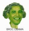 Filename=brocobama.png
Filesize=28KB
Dimensions=125x130
Date added=Jun 27, 2009 brocobama.png