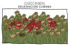 Filename=delegacion_cubana.jpg
Filesize=34KB
Dimensions=450x299
Date added=Jan 02, 2007 delegacion_cubana.jpg